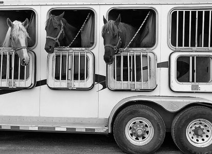 Assurances particuliers - Assurances Remorques Van chevaux - Courtier en assurances - LC Assurances